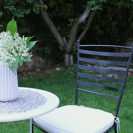 게스트하우스 Oaza De Verdeata 4*