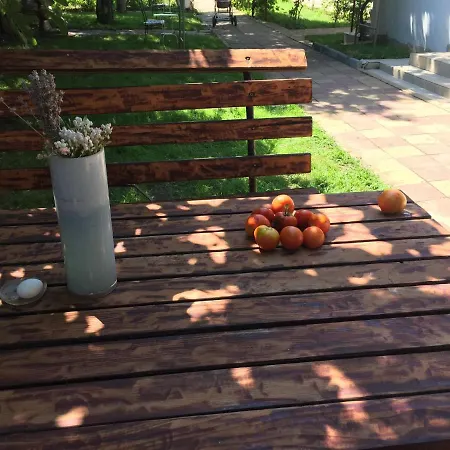 게스트하우스 Oaza De Verdeata