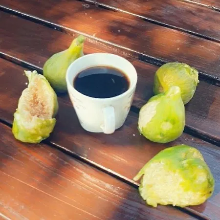 게스트하우스 Oaza De Verdeata 바마베체