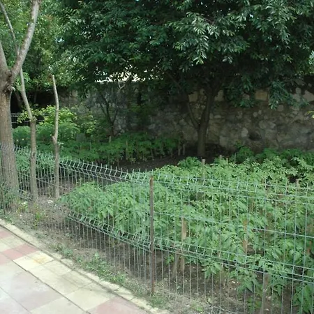 Oaza De Verdeata