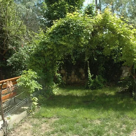 Oaza De Verdeata ヴァマ・ヴェケ