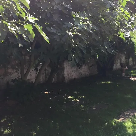 Guest house Oaza De Verdeata *