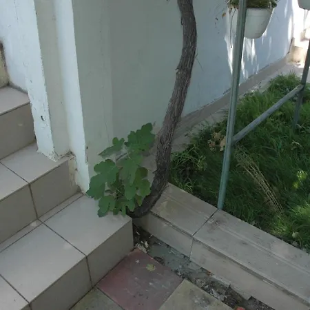 Oaza De Verdeata ゲストハウス 4*