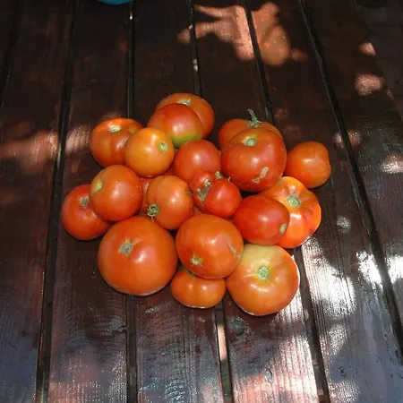 Vendégház Oaza De Verdeata Vama Veche