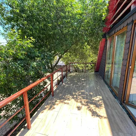 Oaza De Verdeata Guest house Vama Veche