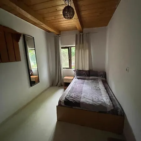 Guest house Oaza De Verdeata *