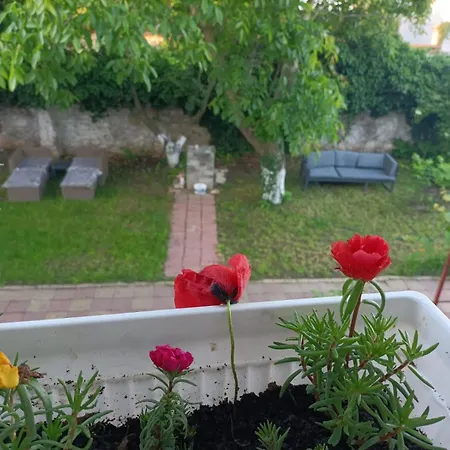 Guest house Oaza De Verdeata Vama Veche