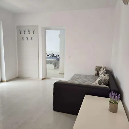 ゲストハウス Oaza De Verdeata