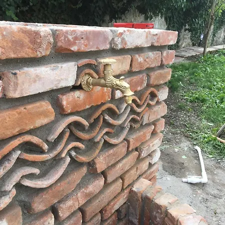 Oaza De Verdeata * Vama Veche
