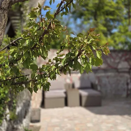 Oaza De Verdeata 4* ヴァマ・ヴェケ